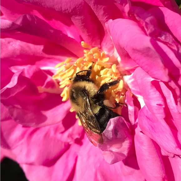 Meet Your Posher, Karri - Picture 12 of 17